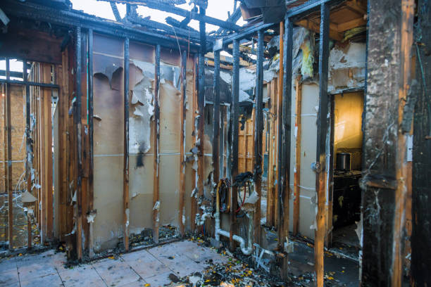 Professional Fire Damage Repair technician working in Bethel, WA