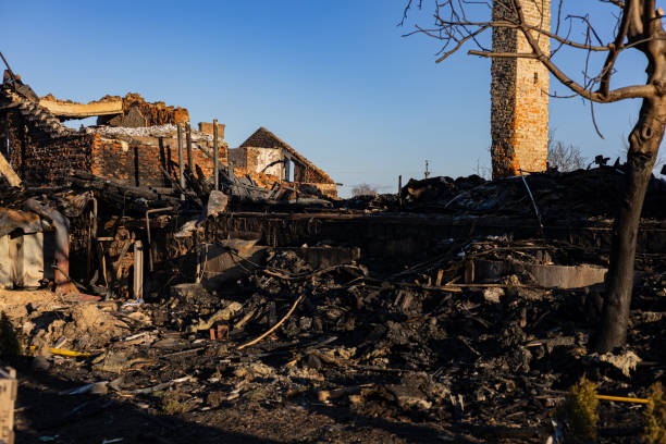 Reliable Fire Damage Repair contractor in Bethel, WA by Fire Damage Doption